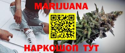 сатива Новозыбков