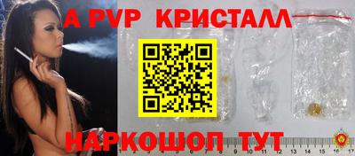 сатива Новозыбков